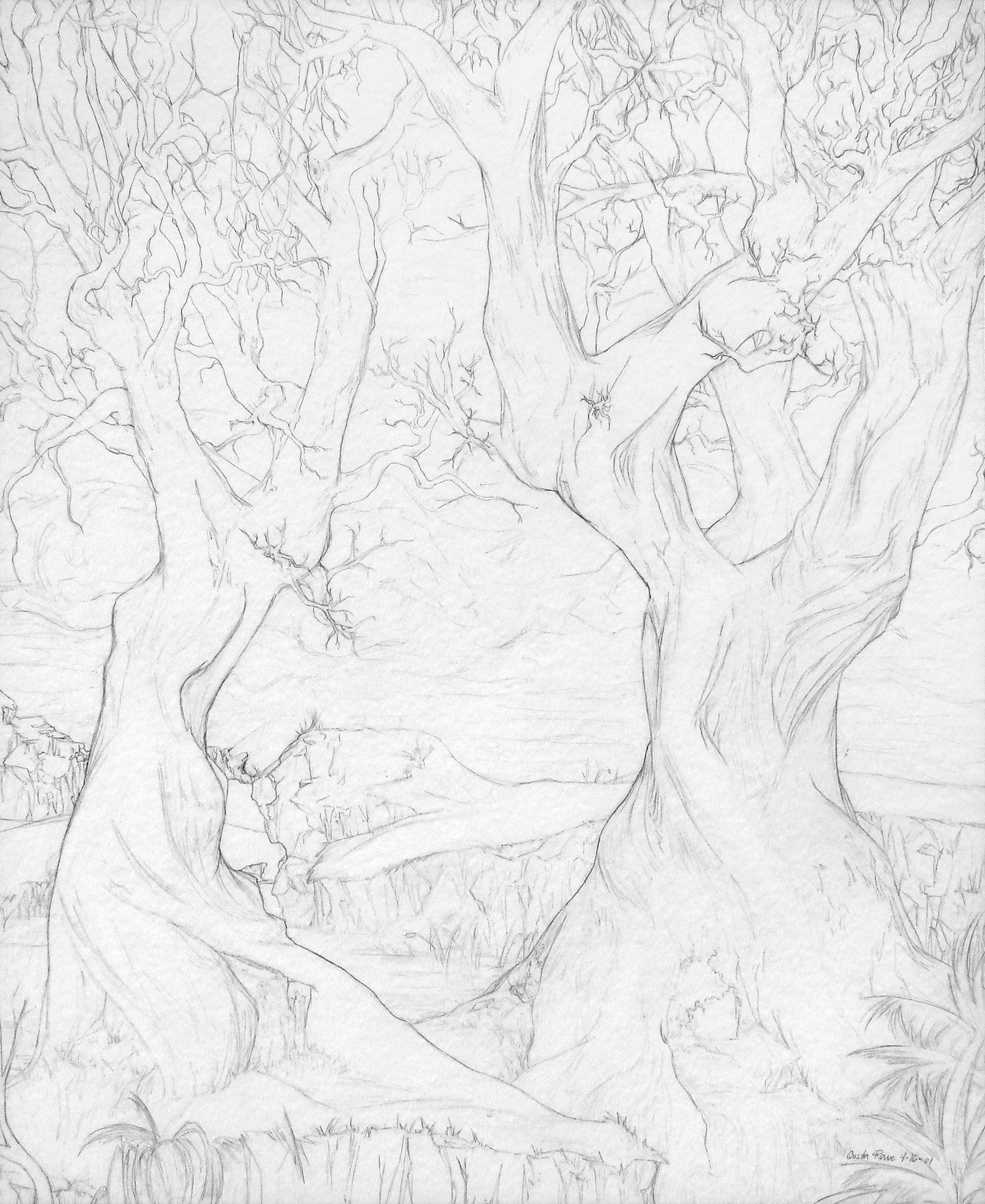 Dead Wood